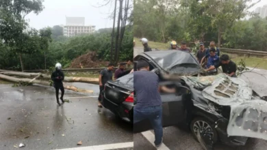 E-hailing driver, passenger critically injured after car struck by fallen tree