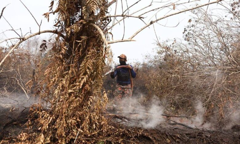 2 letupan dikesan ketika operasi memadam kebakaran ladang PPNJ