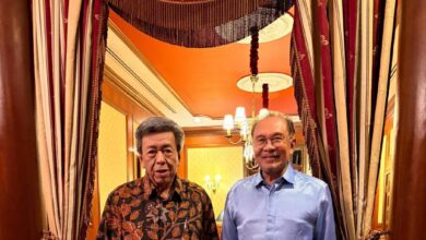 Selangor Sultan grants audience to Anwar