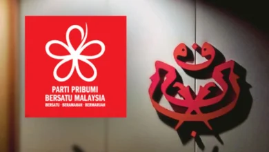'Umno not our main option,' says sacked Bersatu leader