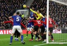 Lammens nikmati cabaran fizikal Liga Perdana Inggeris