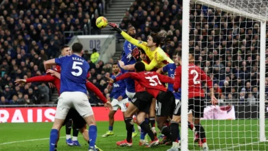 Lammens nikmati cabaran fizikal Liga Perdana Inggeris