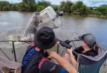 Lelaki terpelanting, bot kena ‘baham’ badak air