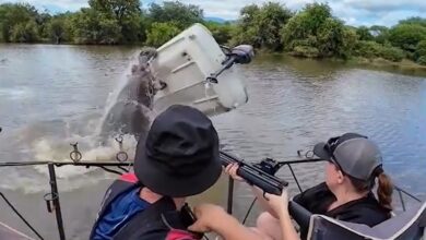 Lelaki terpelanting, bot kena ‘baham’ badak air