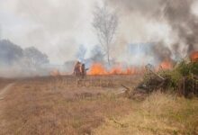Longgokan kayu, tayar terpakai punca asap tebal kebakaran di Kota Syahbandar Melaka