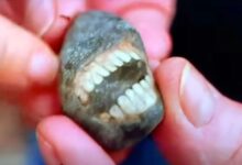 Wanita jumpa batu ‘tersengih’