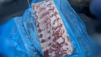 Daging babi, itik sejuk beku, biji kopi bernilai lebih RM900,000 dirampas - AKPS Pelabuhan Klang