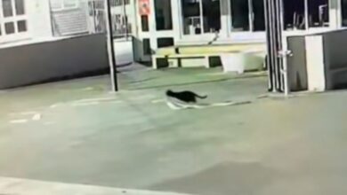 Pencuri tuala, seluar dalam akhirnya tertangkap