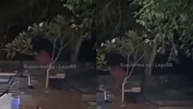 Pontianak jatuh dari pokok