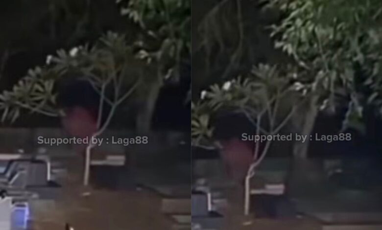 Pontianak jatuh dari pokok