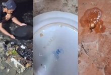 Rezeki datang bergolek, penduduk jumpa emas dalam parit