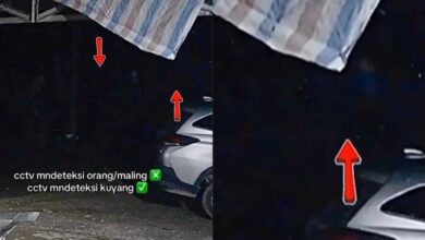 Wanita hamil ketakutan, penanggal berkeliaran depan rumah