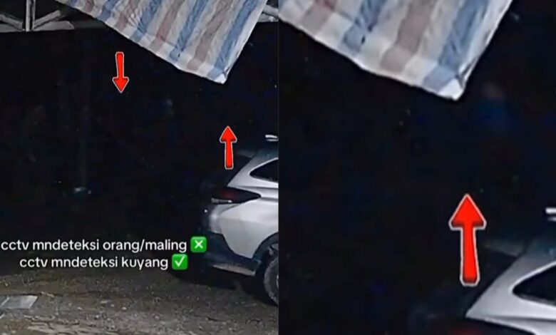 Wanita hamil ketakutan, penanggal berkeliaran depan rumah