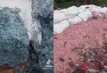 Cebisan wang menimbun di tempat pelupusan sampah