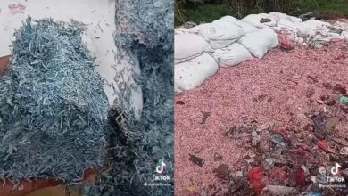 Cebisan wang menimbun di tempat pelupusan sampah