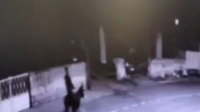 Perompak tak ada ‘taste’, lari tunggang keldai