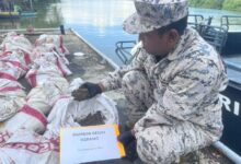 Benih kerang RM132,000 dirampas, 3 lelaki ditahan