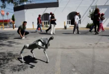 Polis Mexico guna anjing robot ketika Piala Dunia