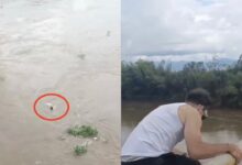 Lelaki lemas, terjun sungai demi ‘konten’