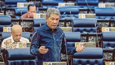 Malaysia decides to abstain from Board of Peace for Palestine