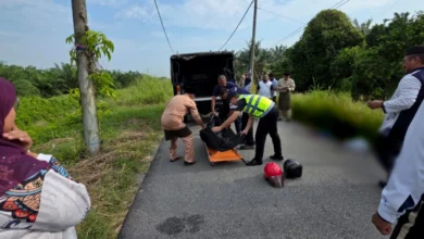 Teen killed after neck slashed by long-handled sickle in accident