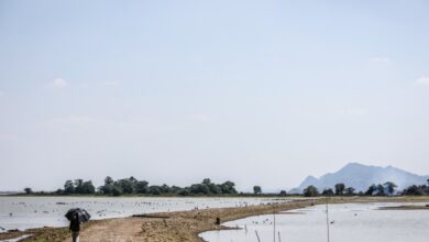 Timah Tasoh Dam not yet critical, but dry conditions raise concern in Perlis