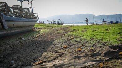 Low dam levels spark alarm across Malaysia ahead of predicted record-breaking El Niño