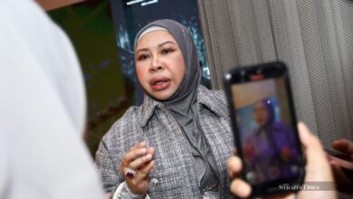 Datuk Seri Vida fails to set aside RM15.5 mil default judgment over unpaid loans