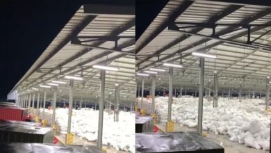 Puluhan ribu bungkusan tersekat di gudang, harap bersabar