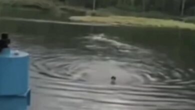 Lelaki tenggelam terjun kolam ketika ‘live’ di TikTok