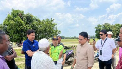 Lebih 13,000 Hektar Sawah Padi Di Perak Turut Terjejas Akibat Cuaca Panas