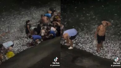 Ratusan ribu ikan meloncat ke darat semasa gerhana bulan