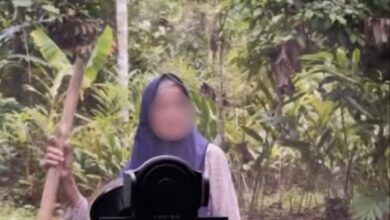 Nenek bawa kayu halang kenderaan, minta ‘duit tol’