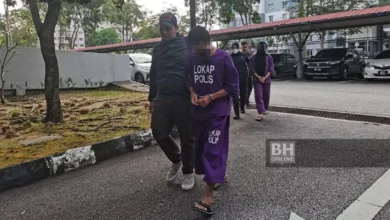 Kes jual lembu pula, pelakon wanita dan suami kena tahan lagi