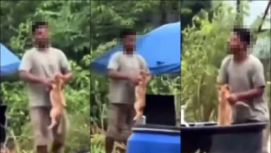 Man seen trying to drown puppy sparks outrage online