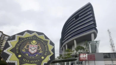 Notis Merah akan dikenakan kepada dua anak Daim - SPRM