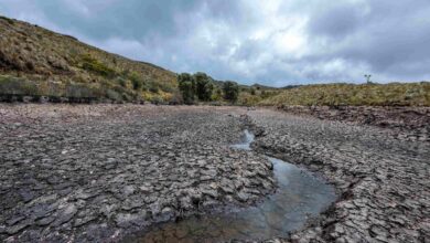 El Nino kembali Mei ini