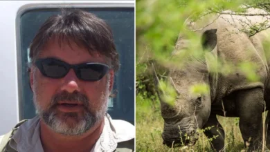 Aktivis haiwan maut ditanduk badak sumbu