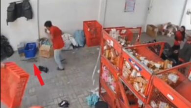 Siapa ‘order’ biawak dalam talian?