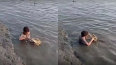 ‘Buat apa dik? Saya gosok gigi buaya’