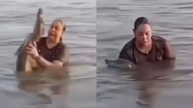 Wanita terkejut peluk ‘kayu’ bergigi