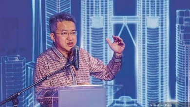 Liew clarifies RON95 remarks after quota cut confusion