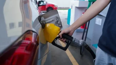 Exclude T20 from BUDI95 to save RM1.5bil a month, says economist