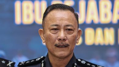 Johor cops investigate alleged altercation involving woman and black-clad group at Pakatan convention