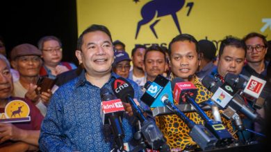 Rafizi says new party Bersama to go solo in next polls, vows no coalition deals