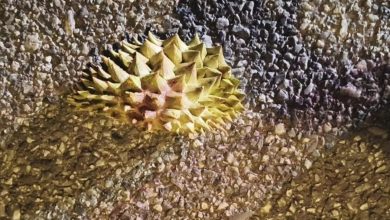 Wanita berjoging diserang 2 lelaki guna kulit durian