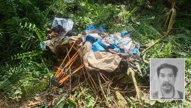 Lelaki maut dipercayai diserang sekumpulan gajah liar