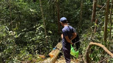 Warga Kemboja dicekup dipercayai tebang pokok gaharu di Taman Botanikal Ayer Keroh