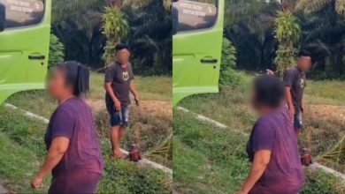 Wanita kejar pemandu lori makan ‘free’
