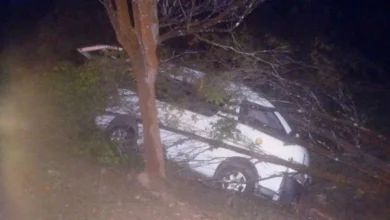 Warga emas maut van dinaiki langgar pokok